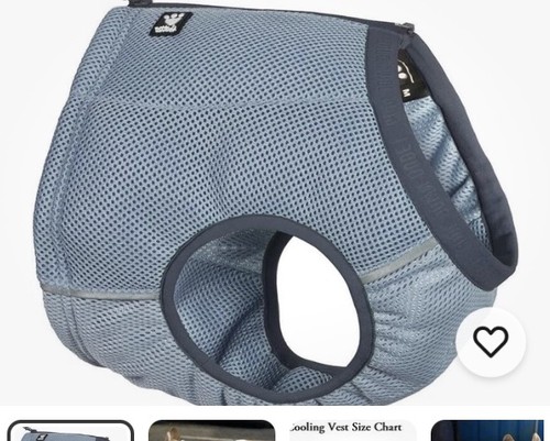 Hurtta blue motivation cooling - motivation,