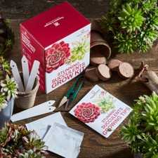 Thompson & Morgan Stunning