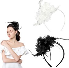 2-Piece Feather Headbands -