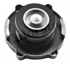 Radiator reservoir cap RC0152