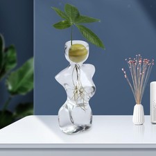Avocado Seed Starter Vase