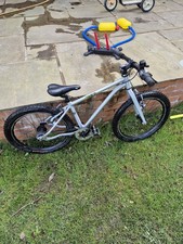 Early Rider Belter 20 Kids