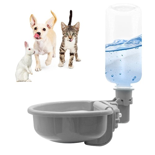 16oz pet water - 16oz,