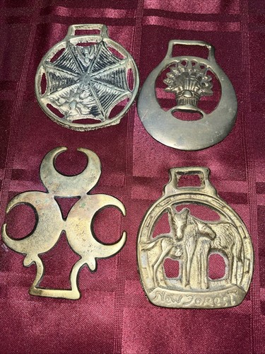 Horse brass harness - horse,