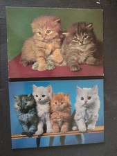 2 X Colour Cat Postcards