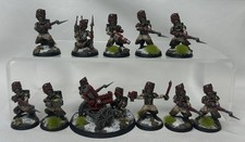 Warhammer 40k Valhallan Ice