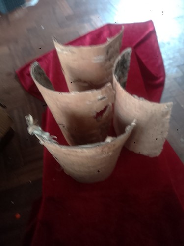 Birch bark - birch,