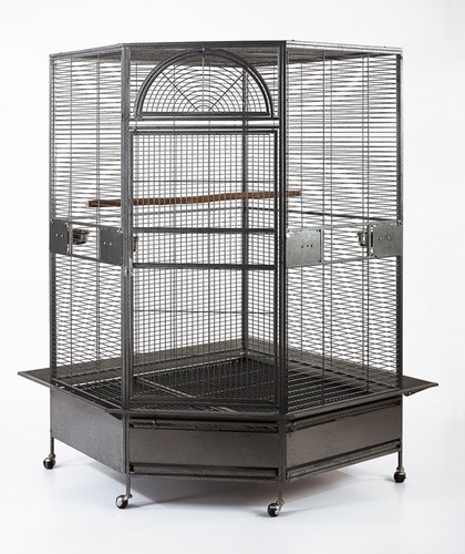 Parrot escape jumbo - parrot, corner