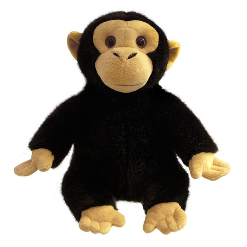 Chimp puppet chimps hand - chimp,