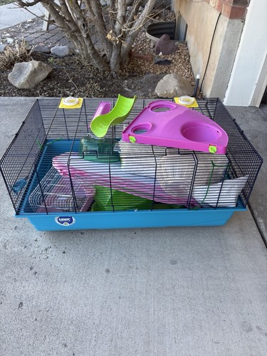 Hamster cage with - hamster,