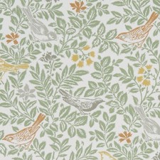 CLARKE AND CLARKE BIRDSONG