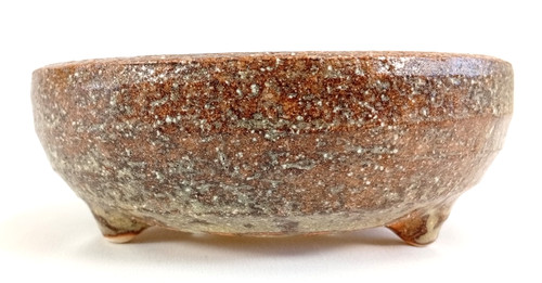 Shigaraki ware bonsai pot - bonsai,