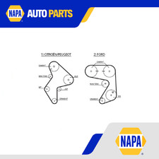 Timing Belt fits PANTHER SOLO