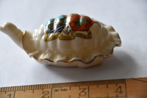 Crested china grafton tortoise - china,
