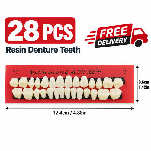 28pcs resin denture - 28pcs,