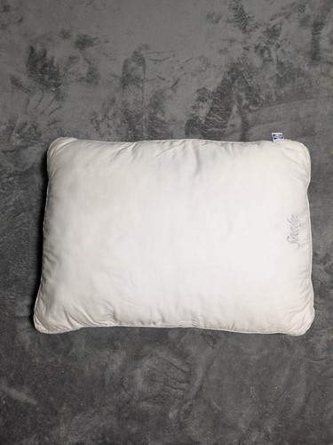 Sealy pillow white - sealy, 16×22"