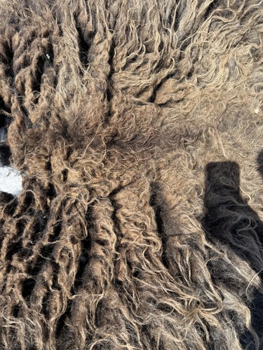 Hebridean sheep whole fleece - hebridean,