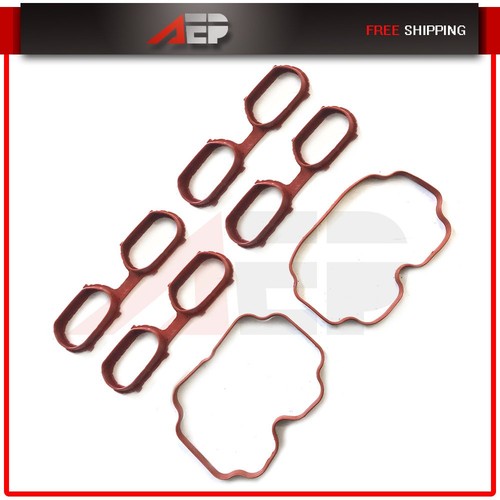 Engine gasket fits 1994 - engine, 1994-1995