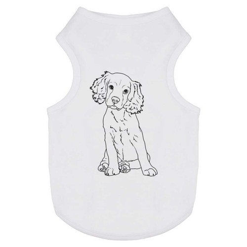 Cocker spaniel puppy pet dog - 'cocker, puppy'