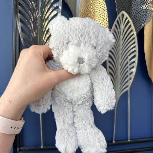Grey teddy bear soft - teddy,