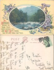 Birthday greeting with natural