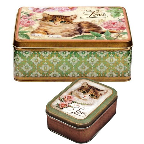 Cat kitten tin - tin, rose