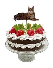 Ginger Tabby Cat Cake Topper -