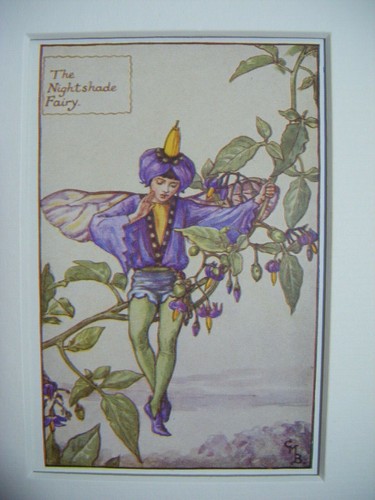 Vintage flower fairies - flower,