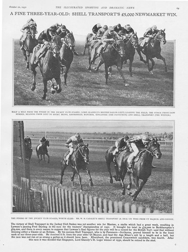Horse racing the - racing, club
