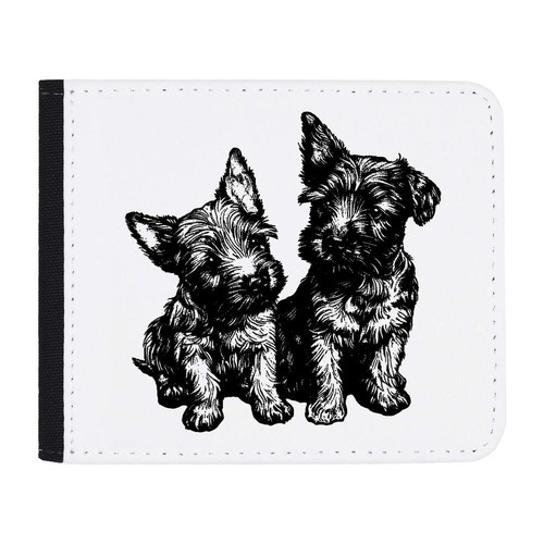 Scottish terrier puppies - terrier, puppies'