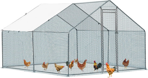 Bonnlo walk chicken - walk-in,