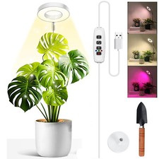 Led grow light - led, growing