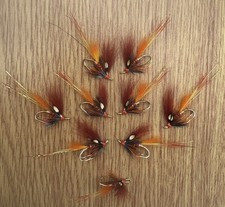 3 x Fiery Brown Shrimp