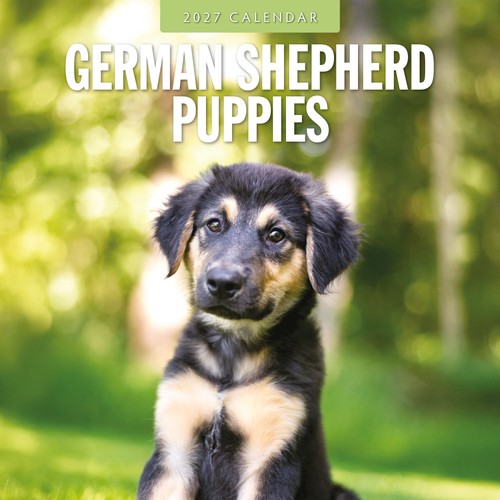 German shepherd puppies 2027 - german,