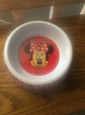 Disney Minnie Mouse Plastic
