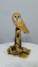 Border fine arts barn owl