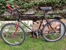 Raleigh Outland Retro