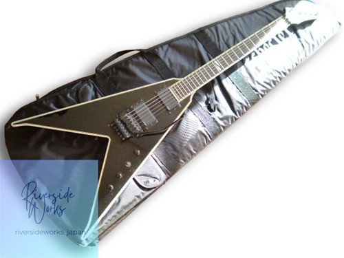Rich dlx jr v - nj,