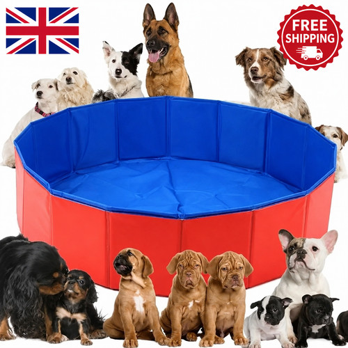 Large pet bath dog - dog, swimming