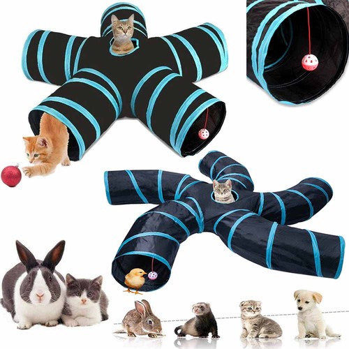 Pop cat tunnel - tunnel, way