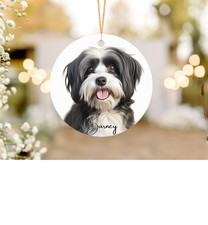Havanese dog Aluminium