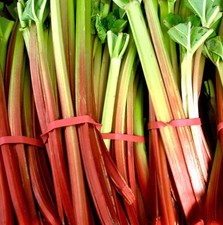 Champagne Rhubarb Spring & Autumn Seeds - 30x Seeds - Vegetable