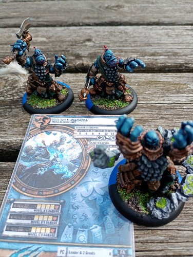 Trollbloods runeshapers unit - trollbloods,