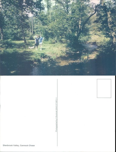 Sherbrook valley cannock chase - valley,