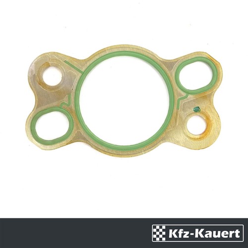 Fwk gasket chain tensioner - gasket,