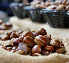 Fresh French Sweet Chestnuts