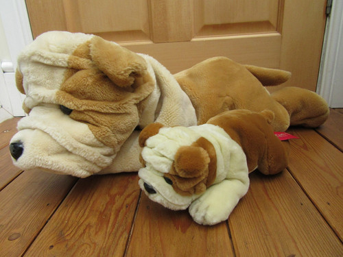 Large british bulldog - bulldog, &