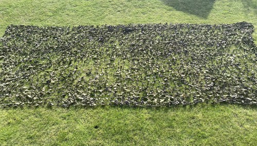 British army camouflage - army,
