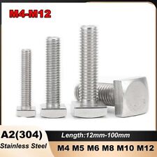 Square Head Screws A2