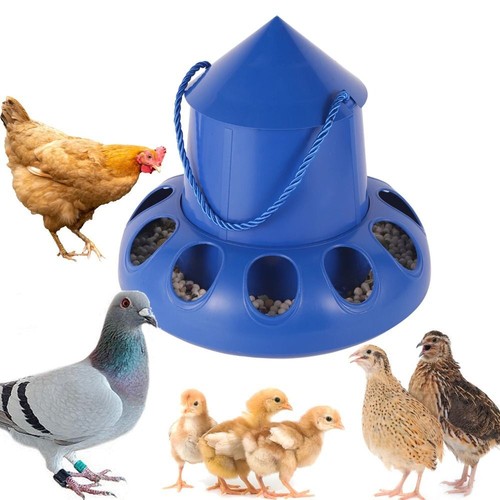 Trough shape pigeon feeder - pigeon,